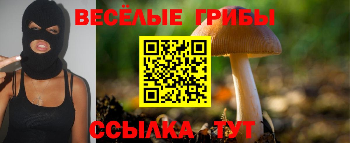 Галлюциногенные грибы GOLDEN TEACHER  что такое наркотик  Гуково  Вход с VPN  Галлюциногенные грибы ЛСД 